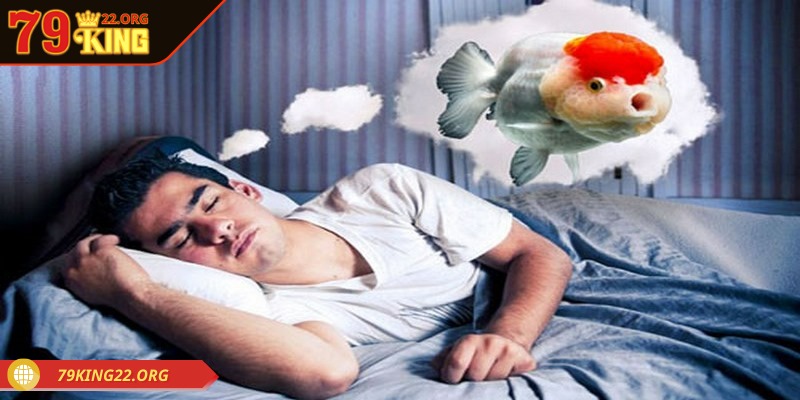 Giải mã giấc mơ luôn được quan tâm bởi mọi người