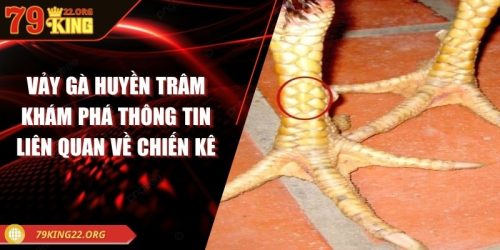 Vảy gà huyền trâm